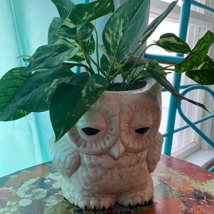 White Owl Planter with Artificial Plant